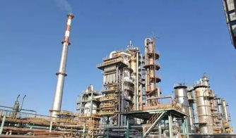 化纤头条 又倒下一家 华南地区最大民营炼油厂遭破产清算 民营化纤巨头大炼化投产在即,将给行业带来怎样的冲击