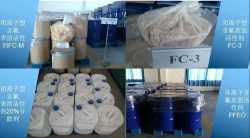 创历史最好成绩 我校六项科研成果喜获2019年度福建省科学技术奖