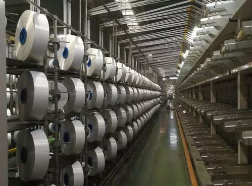 没有调查就没有发言权 深入这些企业,帮你把握聚酯产业发展脉搏