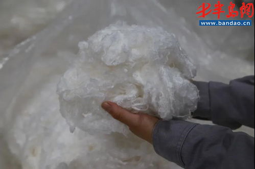 亚太森博年产2万吨莱赛尔纤维生产线投产